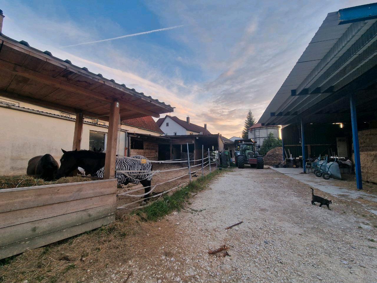 5-Zimmer Bauernhof in Heidenheim, Germany, Nr. 370048