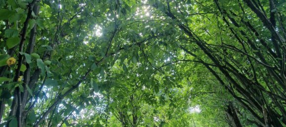 5-Zimmer Bauernhof in Heidenheim, Germany, Nr. 370048 10