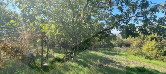 قطعة أرض في Grottaferrata, Italy 1400متر مربع رقم 20039 10