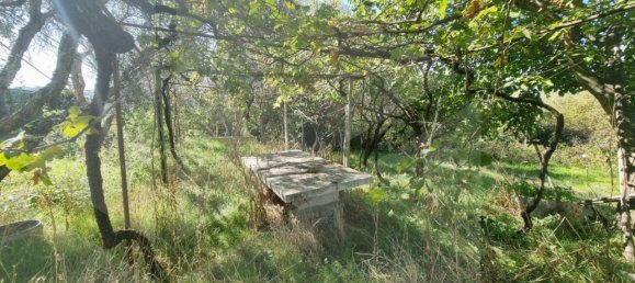 قطعة أرض في Grottaferrata, Italy 1400متر مربع رقم 20039 2