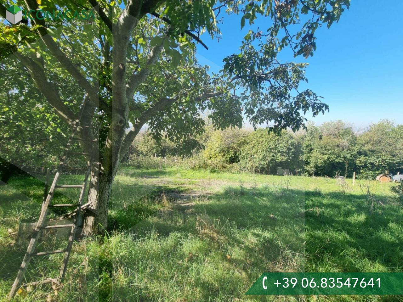  قطعة أرض في Grottaferrata, Italy 1400متر مربع رقم 20039