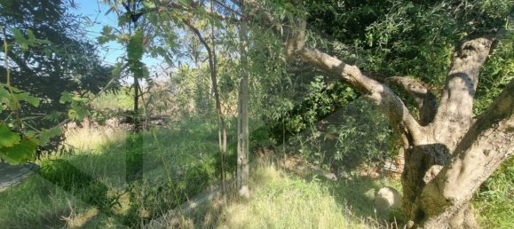 قطعة أرض في Grottaferrata, Italy 1400متر مربع رقم 20039 5