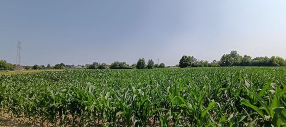 Дом с 4 спальнями в Леньяро, Италия № 314098 8