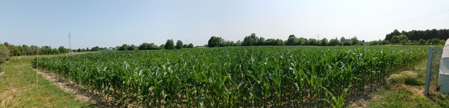 Дом с 4 спальнями в Леньяро, Италия № 314098