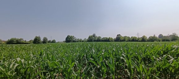 Дом с 4 спальнями в Леньяро, Италия № 314098 7