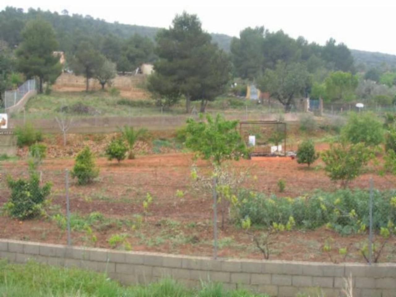 2000m² Land in Turis, Spain No. 72055
