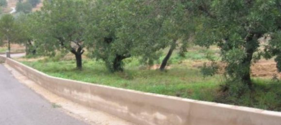 2000m² Land in Turis, Spain No. 72055 2