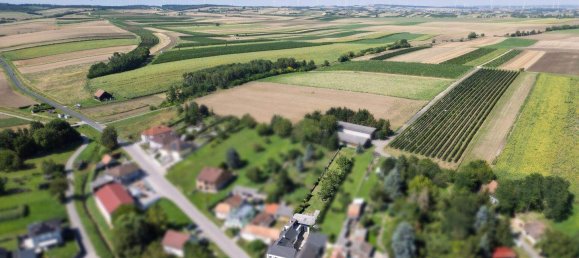 5 rooms House in Zistersdorf, Austria No. 219530 3