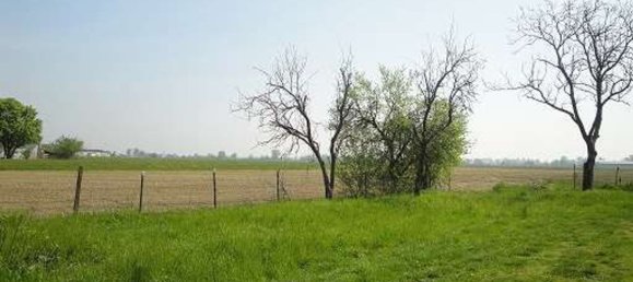 6 rooms House in Busseto, Italy No. 85577 7