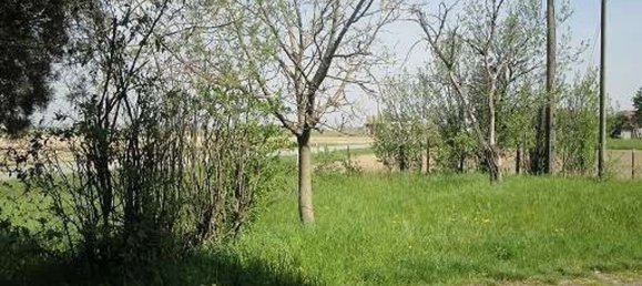 6 rooms House in Busseto, Italy No. 85577 8