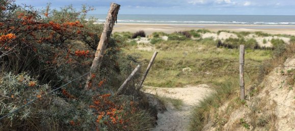 Studio in Leer, Germany, Nr. 207725 7