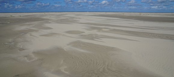 Studio in Leer, Germany, Nr. 207725 3