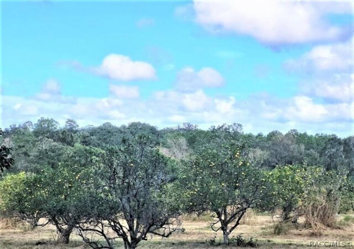  Land in Brooksville, USA No. 540496