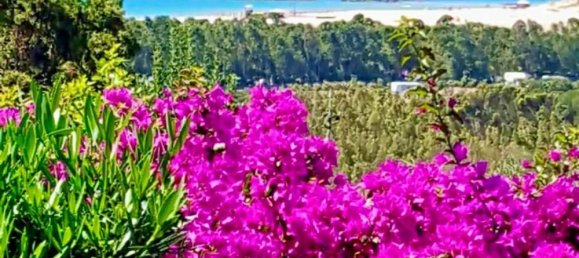 3 rooms Villa in Sardinia, Italy No. 246448 14