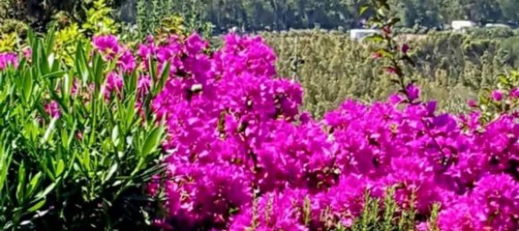 3 rooms Villa in Sardinia, Italy No. 246448 15