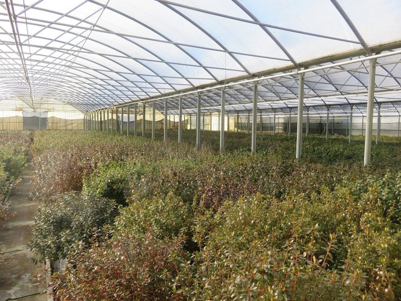 5غرفة فيلا في Varallo Pombia, Italy رقم 43579