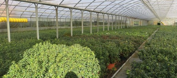 5غرفة فيلا في Varallo Pombia, Italy رقم 43579 17