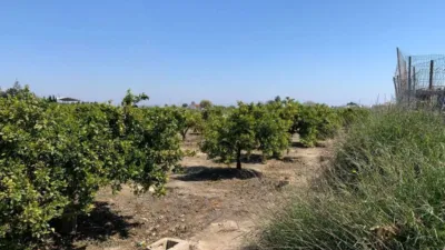 Terrain à Alicante, Spain 1550m² No. 243954