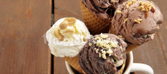 2-Zimmer Gewerbliche Immobilie in Bologna, Italy, Nr. 16307 5