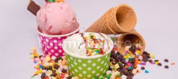 2-Zimmer Gewerbliche Immobilie in Bologna, Italy, Nr. 16307 4