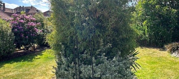 Casa de 6 divisões em Uelzen, Germany N.º 295729 16