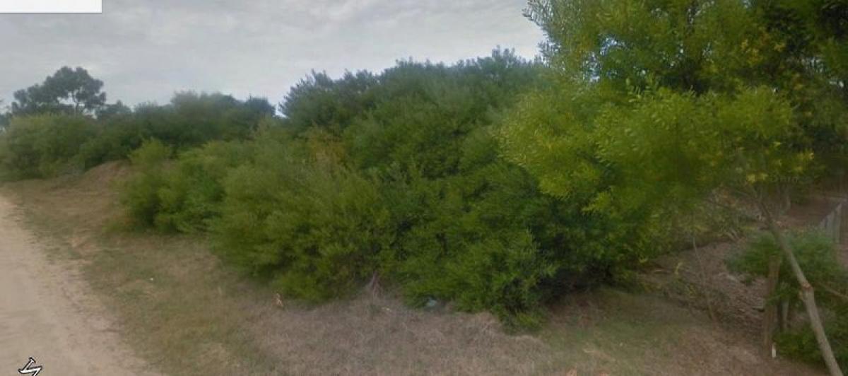 Terrain à Maldonado, Uruguay No. 15045