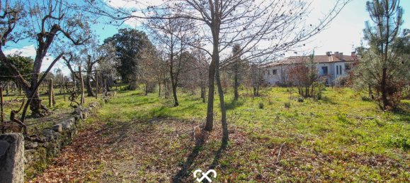  Land in Mangualde, Portugal No. 75643 2