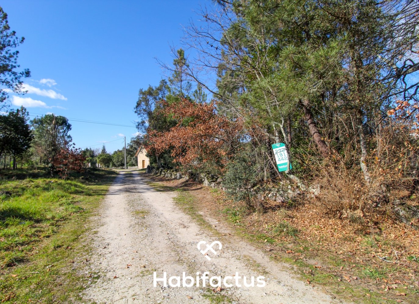  Land in Mangualde, Portugal No. 75643