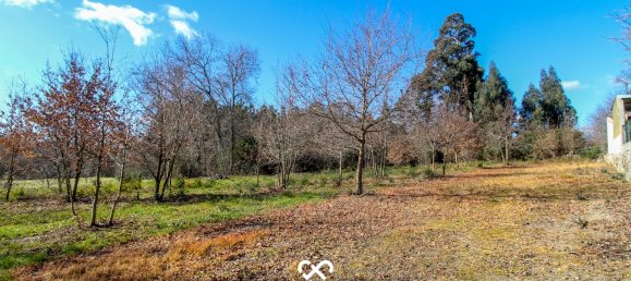  Land in Mangualde, Portugal No. 75643 12