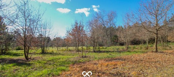  Land in Mangualde, Portugal No. 75643 13