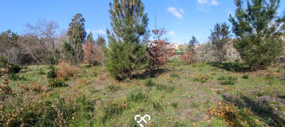 Land in Mangualde, Portugal No. 75643 10