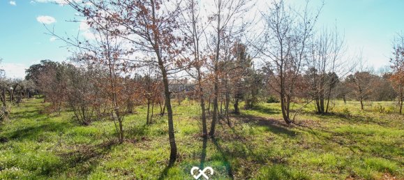  Land in Mangualde, Portugal No. 75643 14