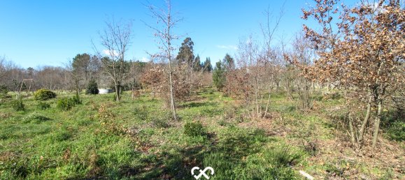  Land in Mangualde, Portugal No. 75643 7