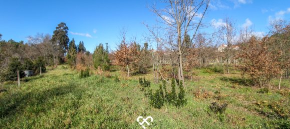  Land in Mangualde, Portugal No. 75643 8