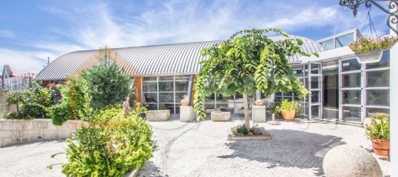 Castelos T5 em Canas de Senhorim, Portugal N.º 51356 22