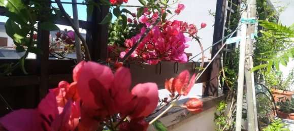 6-Zimmer Penthouse in Trani, Italy, Nr. 18242 13