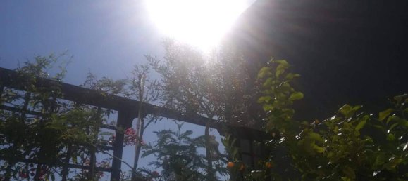 6-Zimmer Penthouse in Trani, Italy, Nr. 18242 16