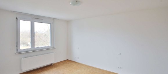 2 rooms Apartment in Tubingen, Germany No. 91210 4