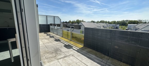 3 chambres Penthouse à Rosenau, France No. 94999 3