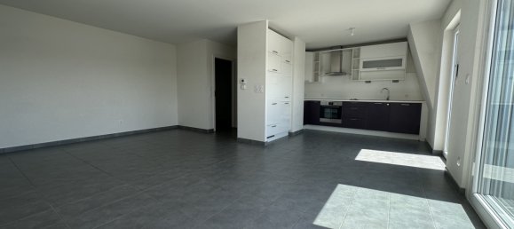 3 chambres Penthouse à Rosenau, France No. 94999 7