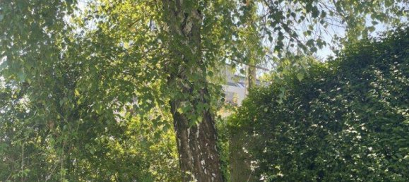 4 rooms Bungalow in Klosterneuburg, Austria No. 157339 27