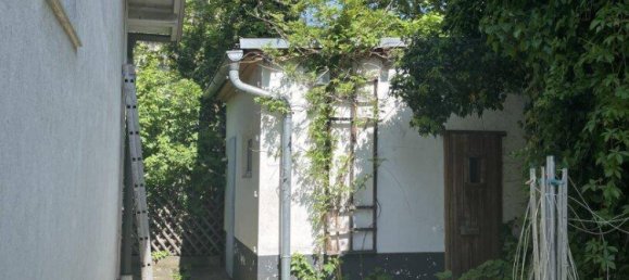 4 rooms Bungalow in Klosterneuburg, Austria No. 157339 23