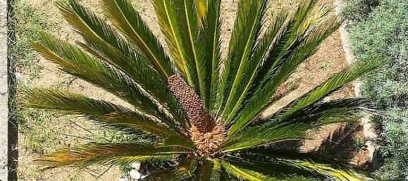 11 rooms House in Rende, Italy No. 122245 8