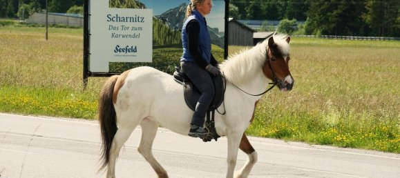 14 rooms House in Scharnitz, Austria No. 140509 13