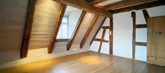 5 bedrooms House in Enzkreis, Germany No. 56355 10