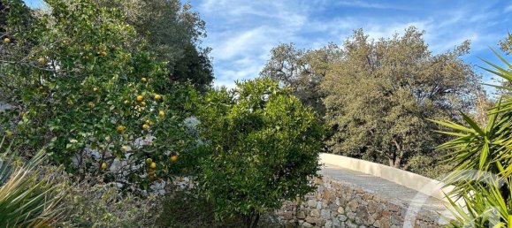 6 chambres Maison à Calenzana, France No. 103258 18