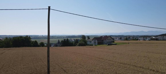 4 rooms Apartment in Kematen an der Krems, Austria No. 239699 3