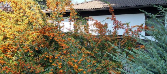 8 rooms House in Jakomini, Austria No. 53858 9