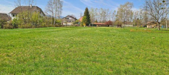  Land in Lauterach, Austria No. 146038 2