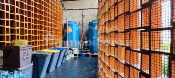 Квартира с 3 спальнями в Кальяри, Италия № 313490 13